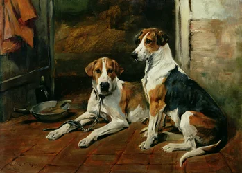 Perros en un interior de establo