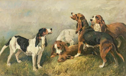 Perros con una Liebre