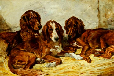 Disparo y sus amigos - Tres setters irlandeses rojos y blancos, 1876