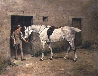 El gris moteado y el mozo de cuadra