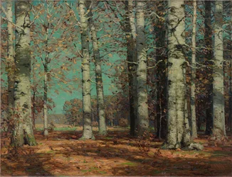 Hayas de otoño