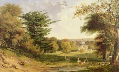 Parque Mereworth, Kent