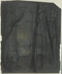 escena del bosque