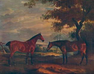 Cazadores de Yorkshire en el pasto, c1840, 1922