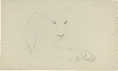 León