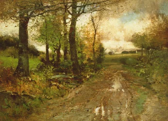 Camino a través del bosque