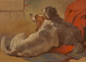 Un sabueso y un collie barbudo sentados en un abrigo de caza