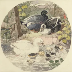 Patos