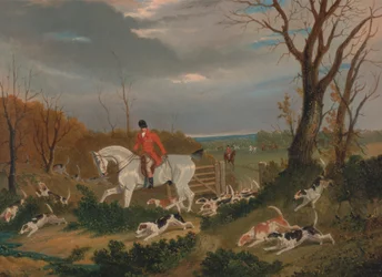 La Caza de Suffolk: A cubierto cerca de Herringswell