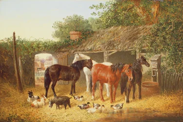 Compañeros de granja