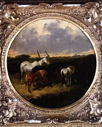 Caballos junto a un rodillo en un prado