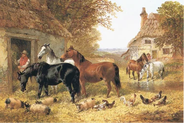 Caballos en un corral