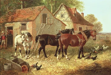 Preparación de los caballos de arado