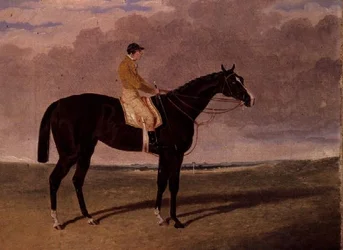 Reina de Tréboles, un caballo de carreras bayo con jockey