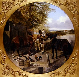 Patio de establos