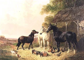 El corral