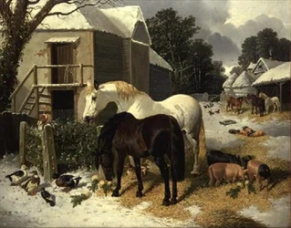 El corral en invierno