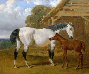 Yegua y Potro frente a un Granero, 1854
