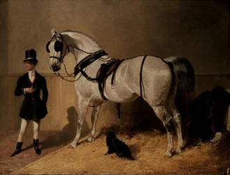 Un caballo de carruaje de St. James