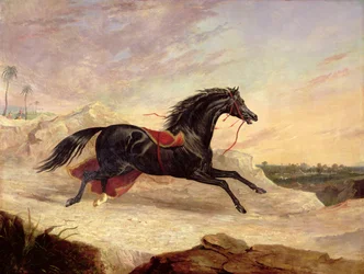 Árabes persiguiendo un caballo árabe suelto en un paisaje oriental
