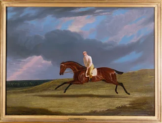 "Corduroy", un caballo de carreras bayo, con un jinete, galopando en una pista de carreras