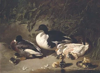 Patos y patitos junto a un estanque