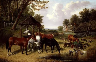Caballos junto a un estanque en una granja