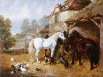 Caballos en un corral