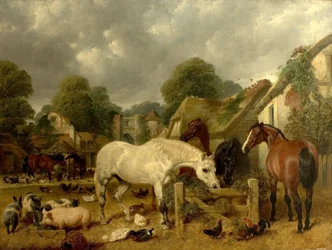 Caballos en un potrero