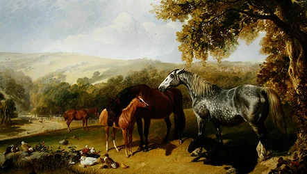Yeguas y potros en un paisaje