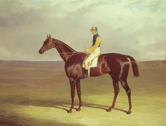 La muleta del Sr. M. Stanley en Newmarket Heath, 1833