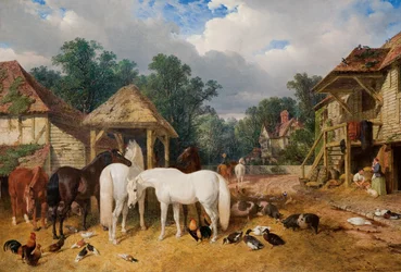 El corral