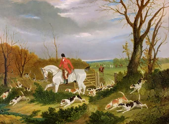 La caza en Suffolk - Yendo a cubrir cerca de Herringswell