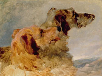 Dos galgos, 1851