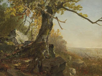 Árbol en un paisaje