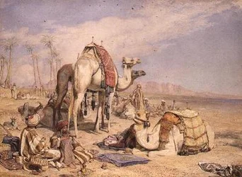 Una parada en el desierto