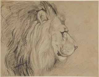 León