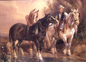 Niño y caballos de carro