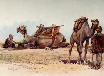 Estudio de camellos y asistentes, 1902