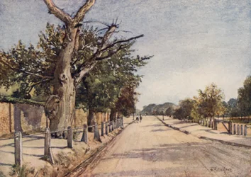 The Spanish Road, Hampstead (litografia en color)