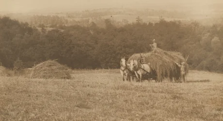 Carga de heno, 1890-1900 (foto)