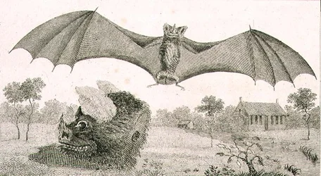 El vampiro o espectro de Guayana