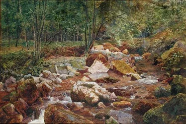 Un arroyo rocoso cubierto de árboles