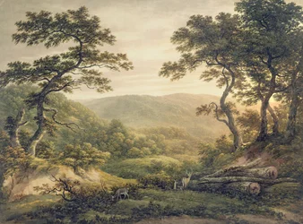 Bosque de Needlewood, Hampshire