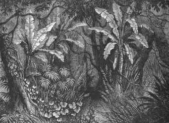 En el bosque, c1880