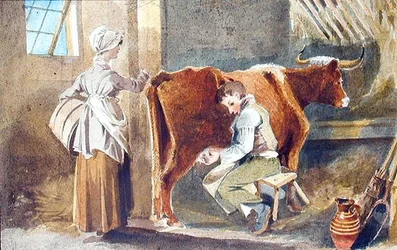 Ordeñando