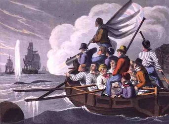 Disparando el arpón a una ballena, grabado por Matthew Dubourg (fl.1785-1820), publicado por Edward Orme
