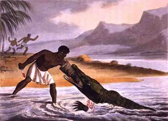 Los cazadores de cocodrilos africanos, grabado por Matthew Dubourg (fl.1785-1820), publicado por Edward Orme