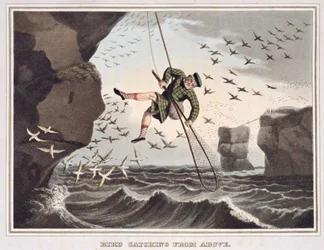 Captura de aves desde arriba, grabado por Matthew Dubourg, publicado por Edward Orme, 1813