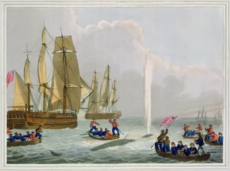 Barcos acercándose a una ballena, grabado por Matthew Dubourg, publicado por Edward Orme, 1813